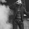 _D4S3731_klein