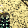 _D3S8525_klein