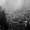 _D4S0213_klein