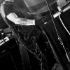 _D4S4004_klein