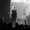 _NZ84351_klein