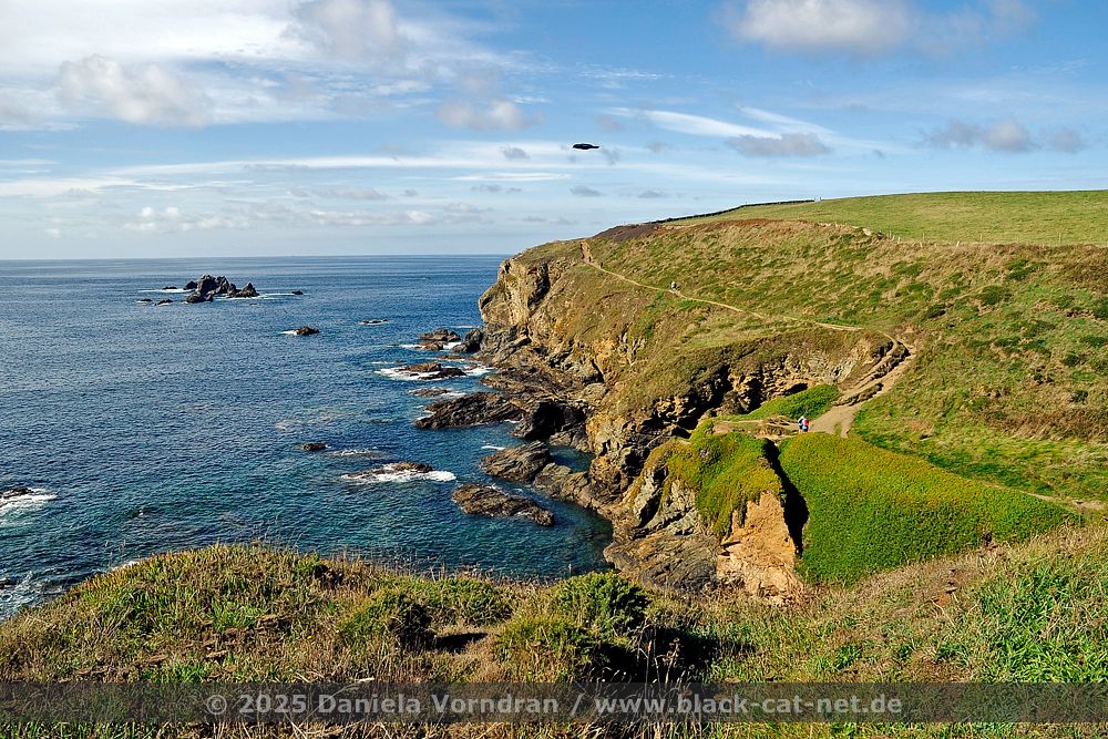 Lizard Point