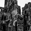 _DSC0988_klein