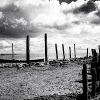 _DSC0027_klein
