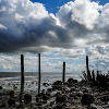 _DSC0057_klein