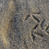 _DSC0098_klein
