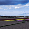 _DSC0113_klein