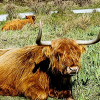 _DSC0182_klein