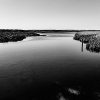 _DSC0193_klein