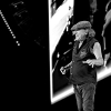_NZ85630_klein