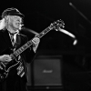 _NZ85692_klein
