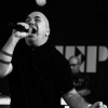 _D4S2398_klein