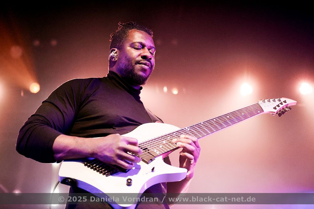 Animals as Leaders
