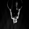 _D3S1643_klein