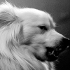 _DSC2394_klein