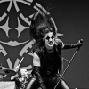 _NZ85779_klein