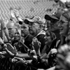 _NZ85794_klein