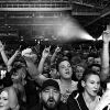 _DSC0842_klein