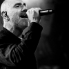 _NZ81424_klein