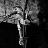 _NZ88760_klein