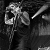 _NZ88771_klein
