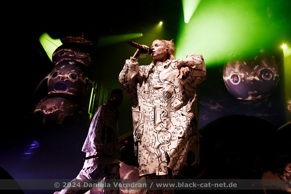 Die Antwoord