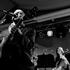 _DSC8081_klein