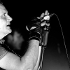 _D3S5877_klein