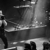 _NZ81542_klein