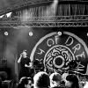 _D4S9026_klein