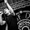 _D4S9064_klein