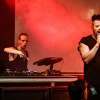 _NZ81379_klein