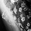 _D3S9300_klein