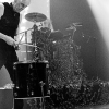 _NZ85504_klein