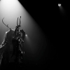 _D4S3894_klein