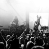 _NZ82230_klein