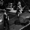 _NZ88520_klein
