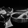 _D4S8508_klein