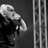 _D3S6210_klein