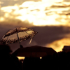 _D3S6775_klein