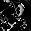 _D3S8217_klein