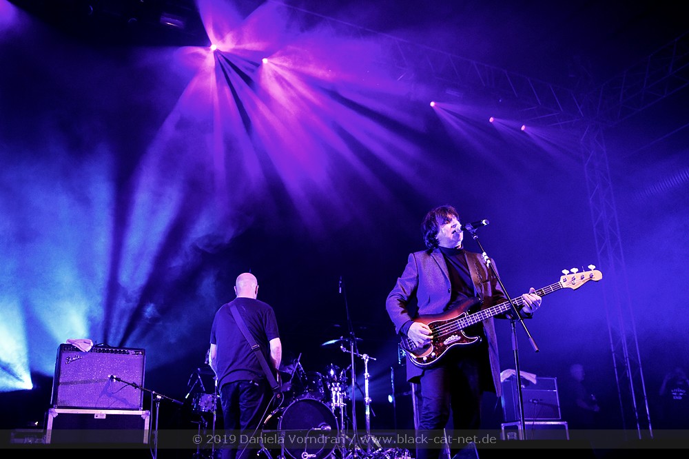 Chameleons Vox 