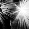 _DSC6016_klein