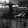 _D4S9399_klein