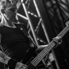_NZ81873_klein