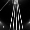_D4S4534_klein