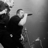 _D3S8102_klein