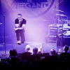 _NZ81533_klein