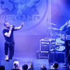 _NZ81535_klein