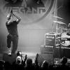 _NZ81537_klein